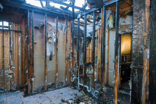Professional Fire Damage Restoration technician working in Naples, TX